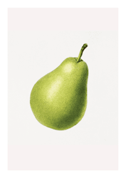 Fruktposter - Päron (Fri frakt!)
