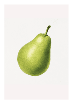 Fruktposter - Päron (Fri frakt!)