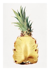 Fruktposter - Ananas i genomskärning (Fri frakt!)