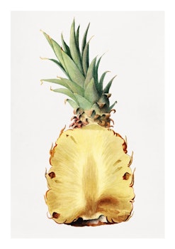Fruktposter - Ananas i genomskärning (Fri frakt!)