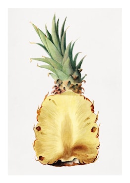 Fruktposter - Ananas i genomskärning (Fri frakt!)