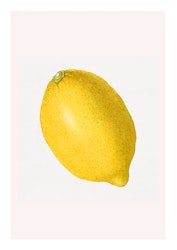Fruktposter - Citron (Fri frakt!)