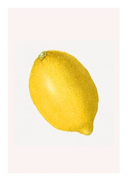 Fruktposter - Citron (Fri frakt!)
