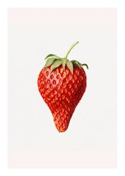 Fruktposter - Jordgubbe (Fri frakt!)