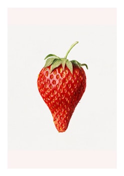 Fruktposter - Jordgubbe (Fri frakt!)
