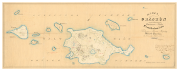 Historisk karta över Gräskö, år 1838 (Fri frakt!)