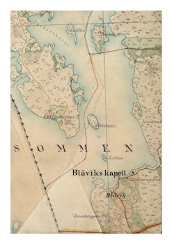 Historisk karta över Blåvik, år 1868-1877 (Fri frakt!)