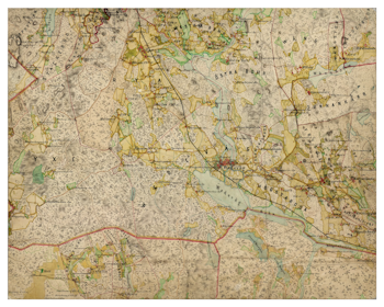 Historisk karta över Vedevåg, år 1864-67 (Fri frakt!)