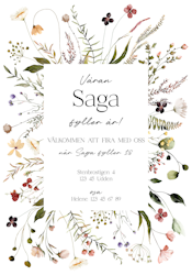 Saga