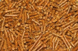 Carrot pellets