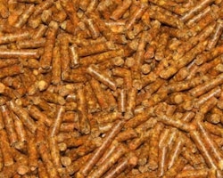 Carrot pellets