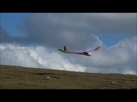 Palio Pro glider PNP