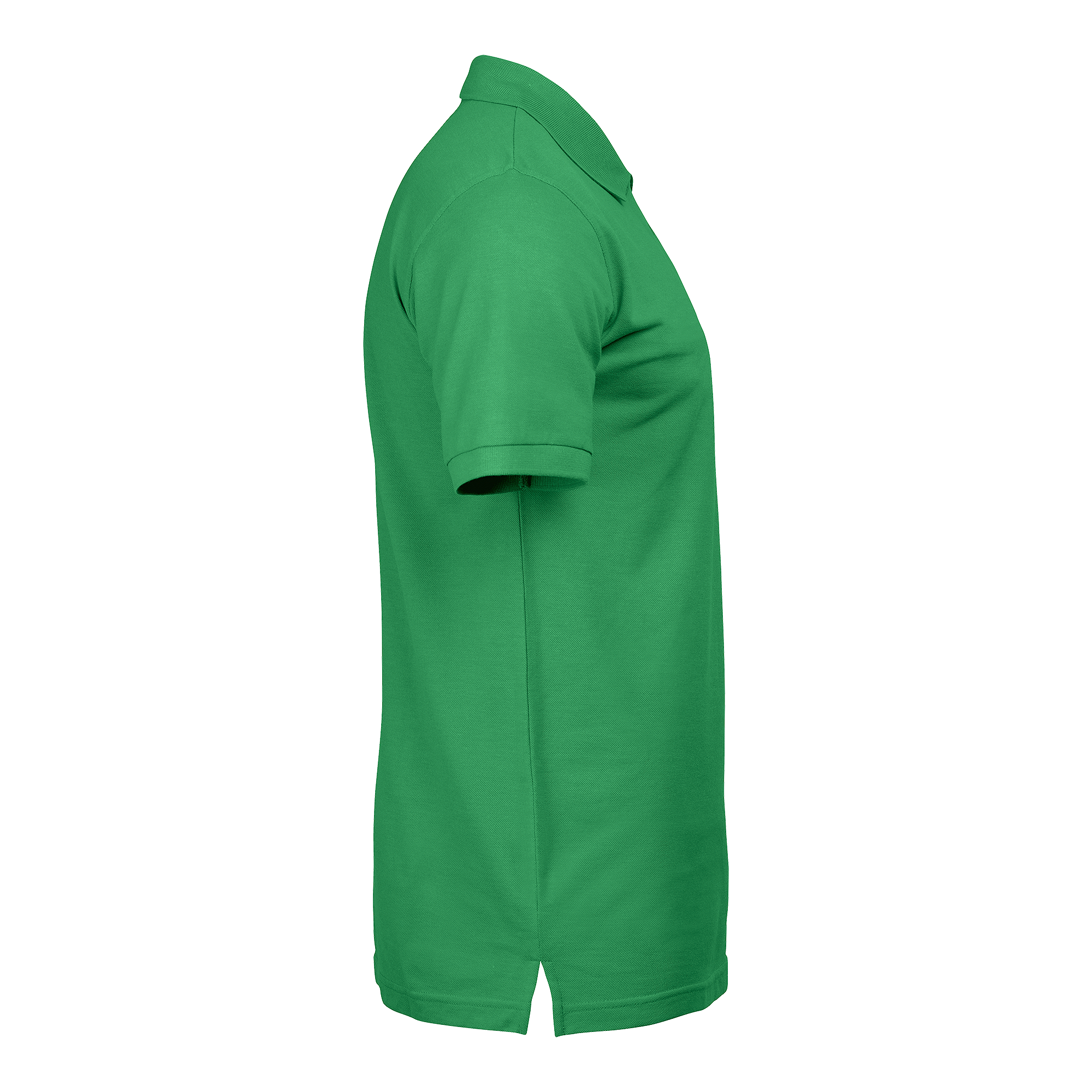 Dan Polo
