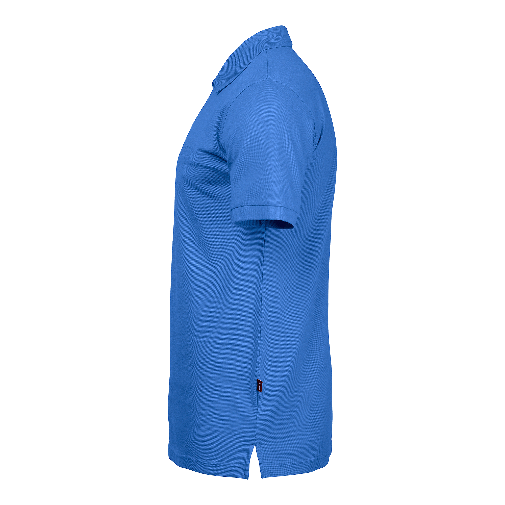 Dan Polo
