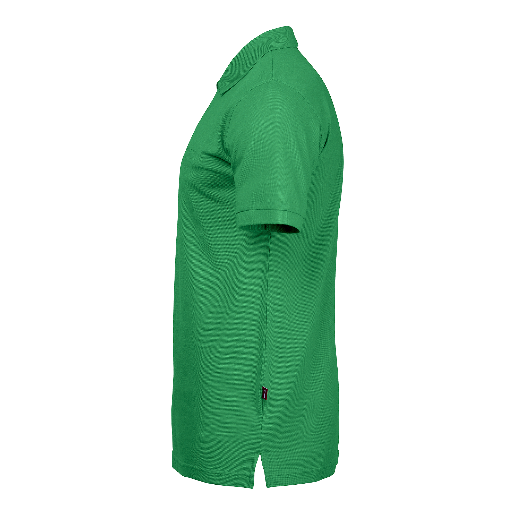 Dan Polo