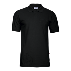 Dan Polo