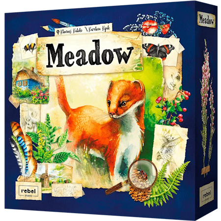 Meadow (ENG)
