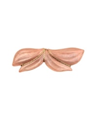 Orchid clip