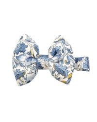 Bow on aligator mw Liberty Lodden