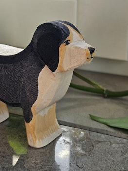Berner sennenhund - från Ostheimer