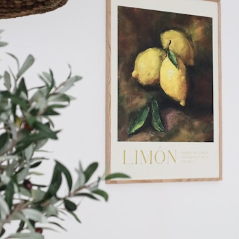 Poster - Limon
