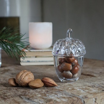 Ekollon glasburk med lock