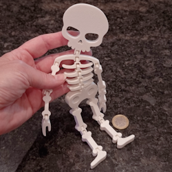 Flexible skeleton 3D printed in durable PLA