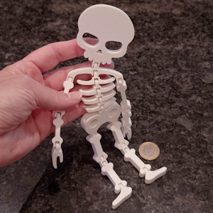Flexible skeleton 3D printed in durable PLA