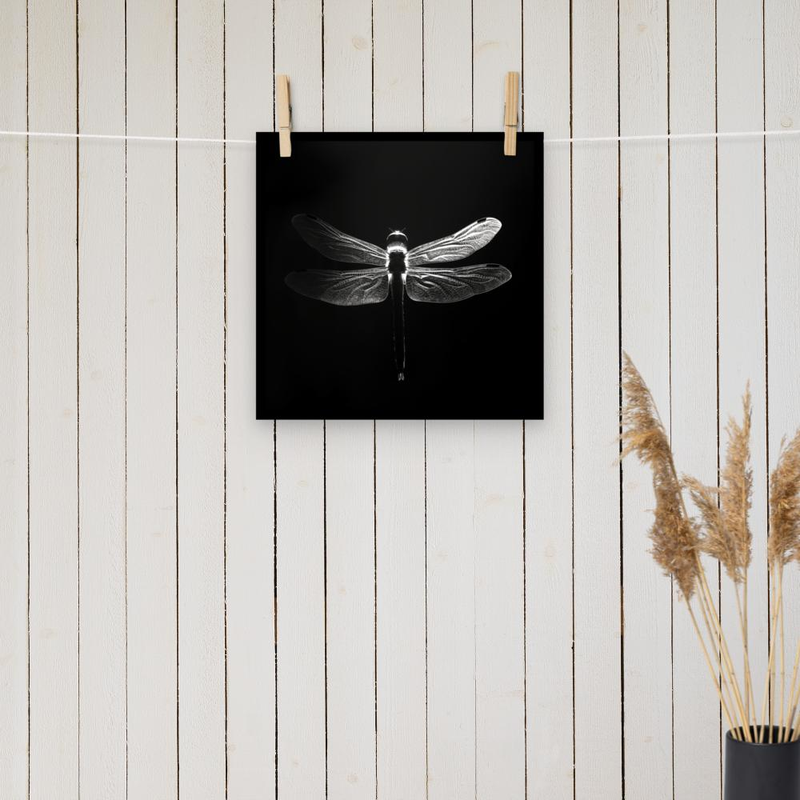 Dragonfly Silhoutte - black & white poster