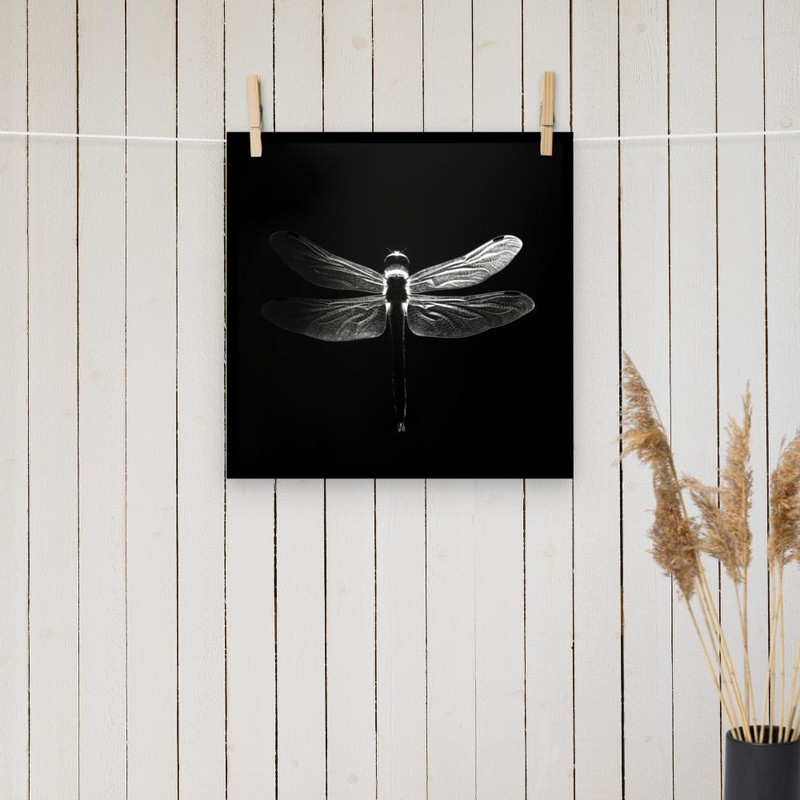 Dragonfly Silhoutte - black & white poster
