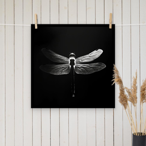 Dragonfly Silhoutte - black & white poster