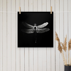 Dragonfly Silhoutte - black & white poster