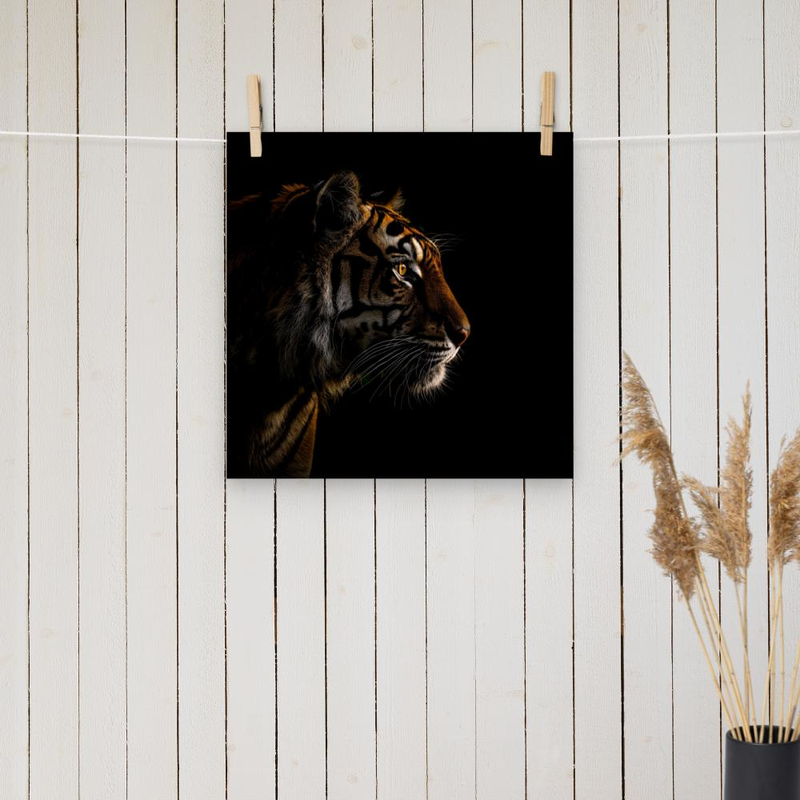 Tiger Silhoutte - looking to the right poster