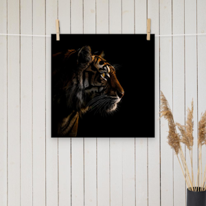 Tiger Silhoutte - looking to the right poster