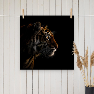 Tiger Silhoutte - looking to the right poster