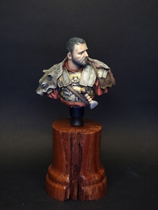 The Arena Warrior