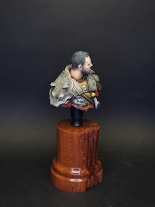 The Arena Warrior