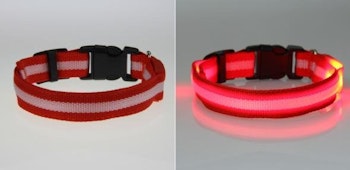 LED Hund / Kat Halsband