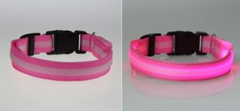 LED Hund / Kat Halsband