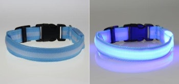 LED Hund / Kat Halsband