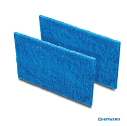 Hayward Grovfilter för Sharkvac & Tigershark 2-pack RCX70103PAK2 (stora)