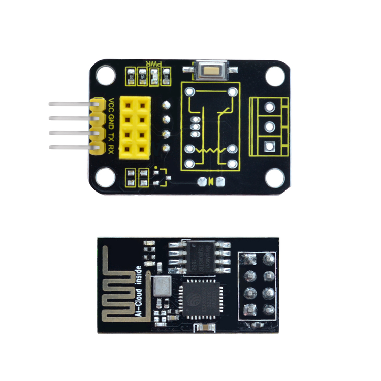 ESP-01 Wifi Module and DS18B20 Temperature IoT Module