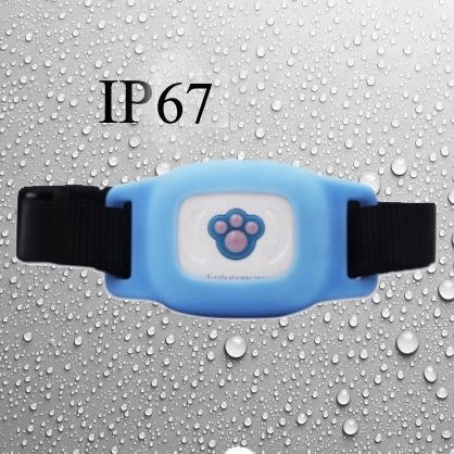 Liten IP67 GPS-tracker för katt och hund