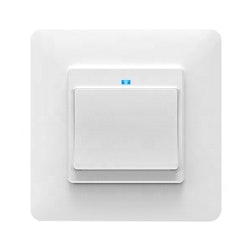 Smart Life App Remote Control EU Smart Wifi Switch