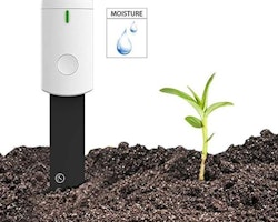 Flowers and plants Soil Water Sensor detector