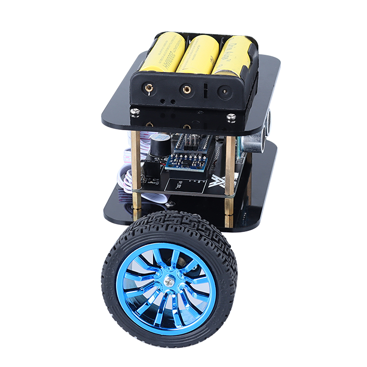 Mini Transport Robot Wireless Control Self Balancing Robot