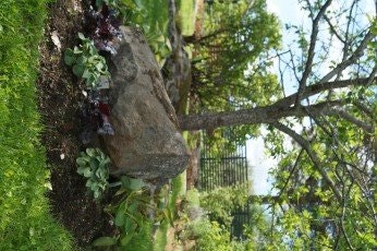 Stenröset gårdsbutik & trädgård