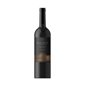 Bodegas Bocopa - Alcanta Crianza