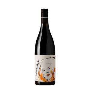 Bodega Rejadorada - Antona Garcia