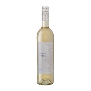 Adega Gran Vinum - Nessa